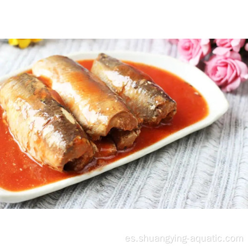 Alimentos saludables 125gx50tins sardinas enlatadas en salsa de tomate